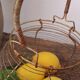 Egg basket
