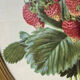 Framed botanical print of Fragaria Grandiflora