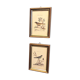 Set of two bird illustrations