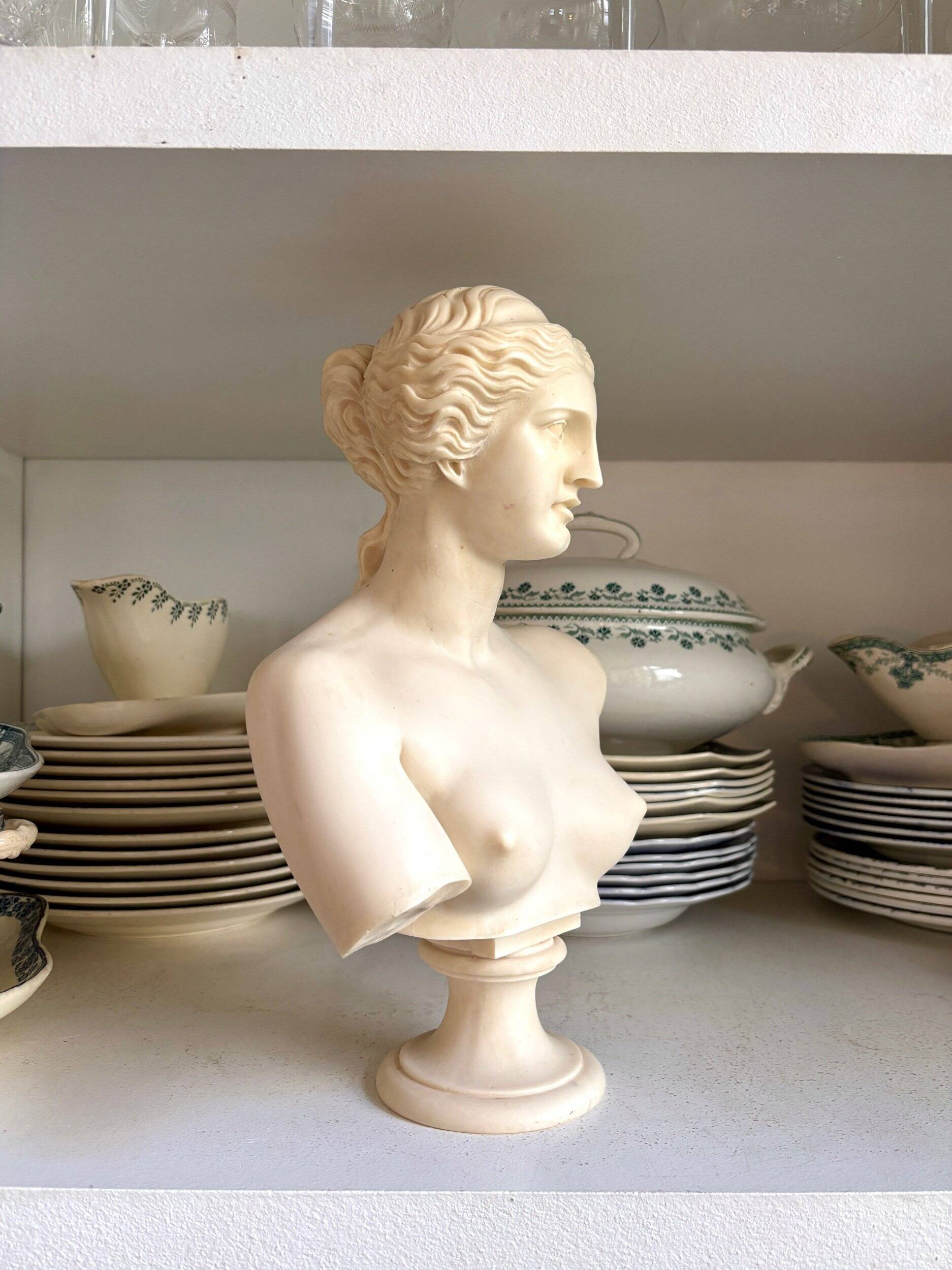 Bust of Venus on pedestal