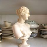 Bust of Venus on pedestal
