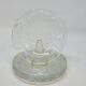 5 Small Transparent Frosted Glass Plates Vintage Floral Decor Kig Indo
