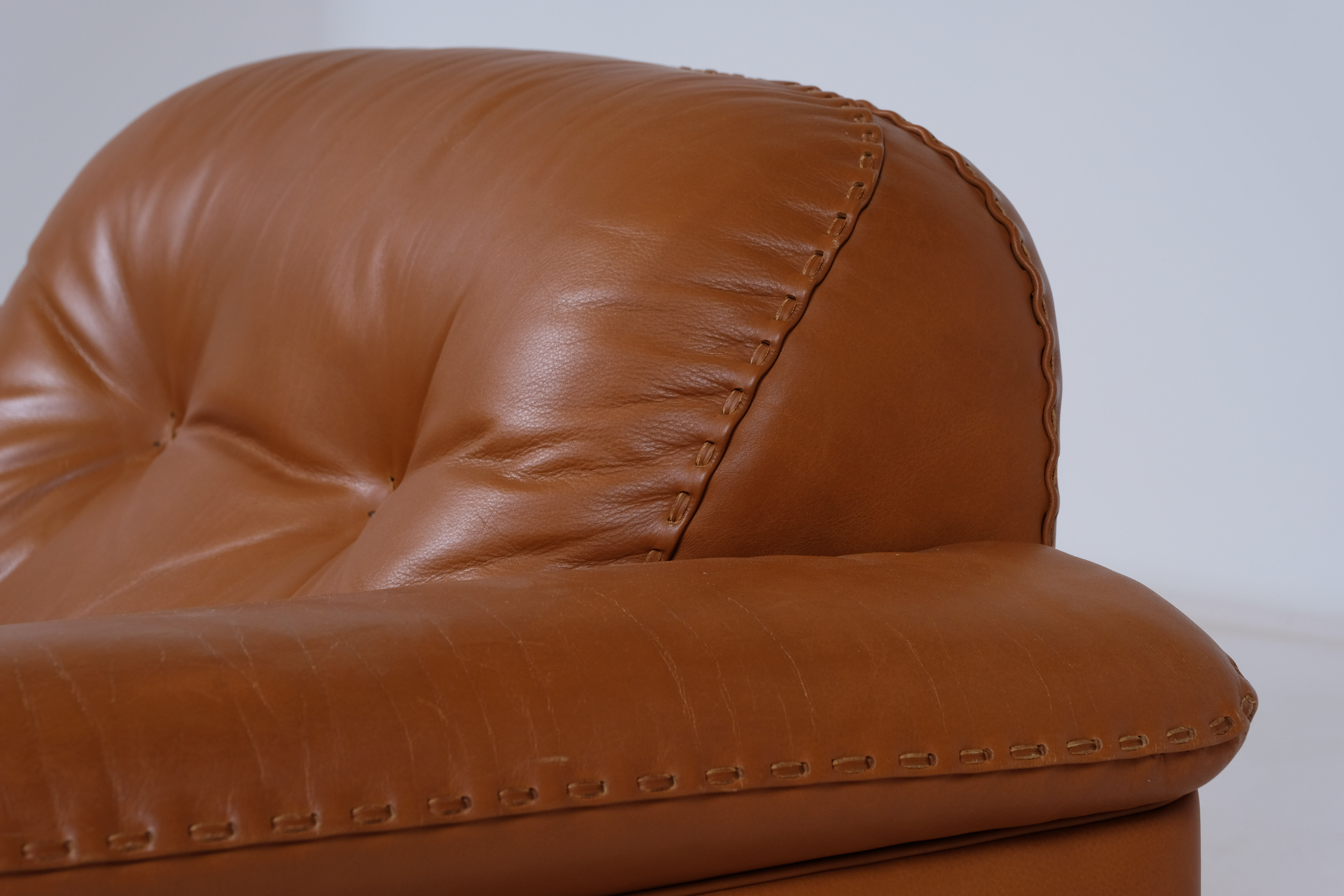 De Sede leather adjustable armchair DS101