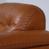 De Sede leather adjustable armchair DS101