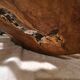 Tony Bain vallauris olive wood cut
