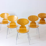 Special set of 5 Ant chairs by Fritz Hansen