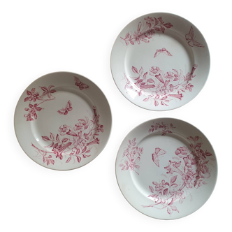 Assiettes Jasmin Badonviller