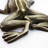 Bronze frog 50s