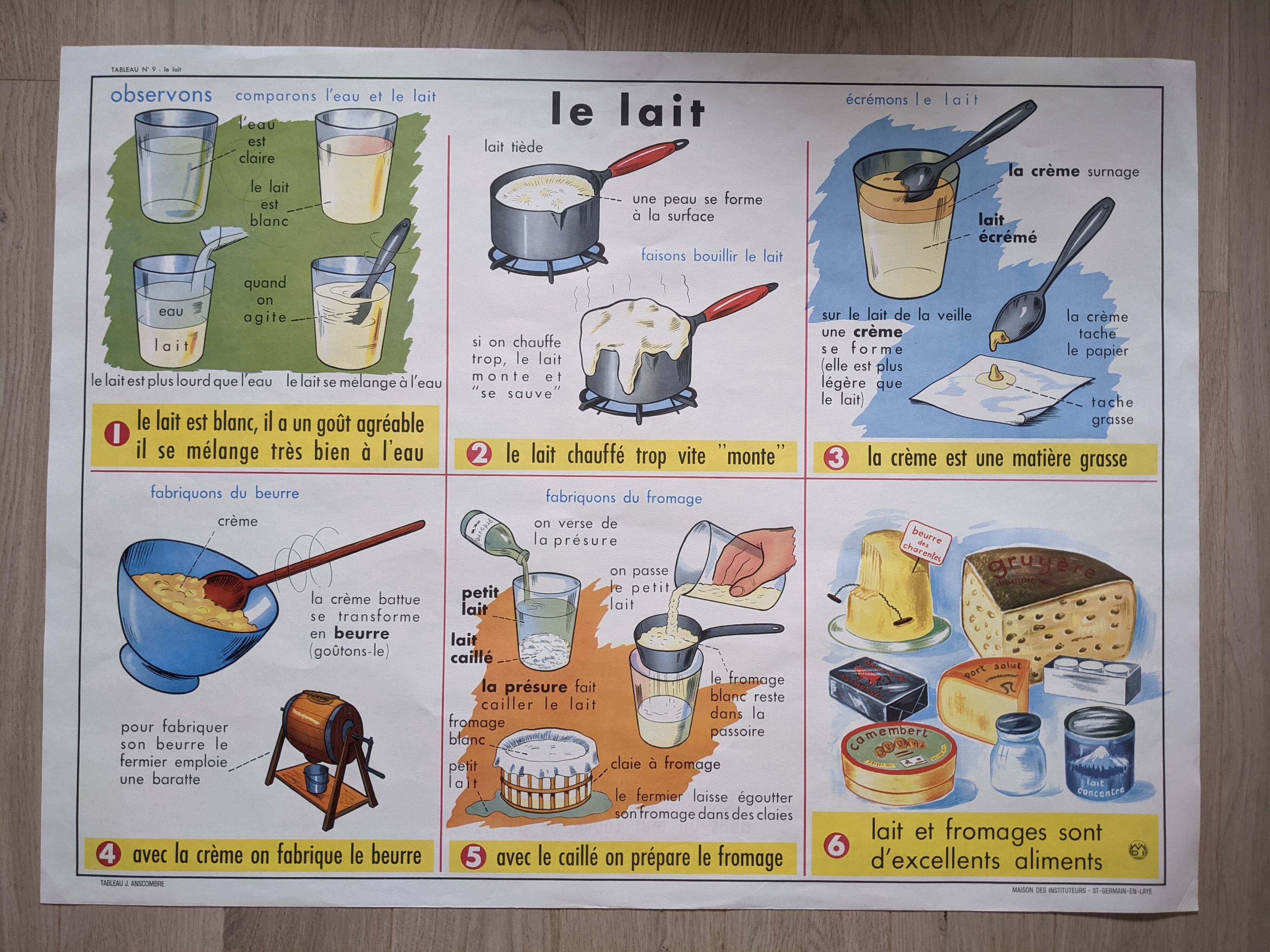 Old vintage school poster botanical egg hen milk