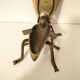 Vintage fly ashtray
