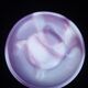 Former opaline ashtray of fair lamp fotos