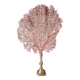 Red Gorgon, brass base, late nineteenth