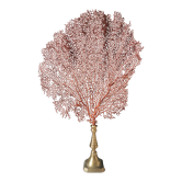 Gorgone Rouge, Socle en laiton, fin XIXème