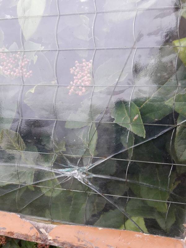 Window L107xH174 industrial curved metal glass roof frame reinforced glass