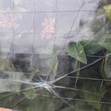 Window L107xH174 industrial curved metal glass roof frame reinforced glass