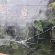 Window L107xH174 industrial curved metal glass roof frame reinforced glass