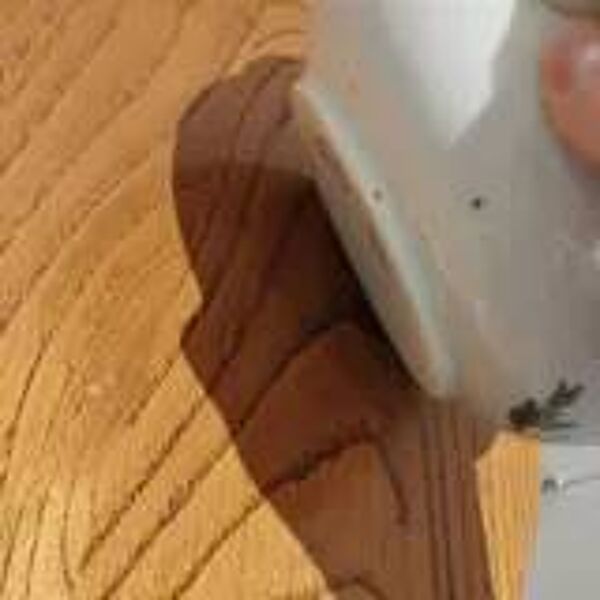 Plat avec son couvercle en porcelaine de Paris