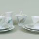 8-piece MOCHA SET rosenthal form 2000 raymond loewy decor falling leaves