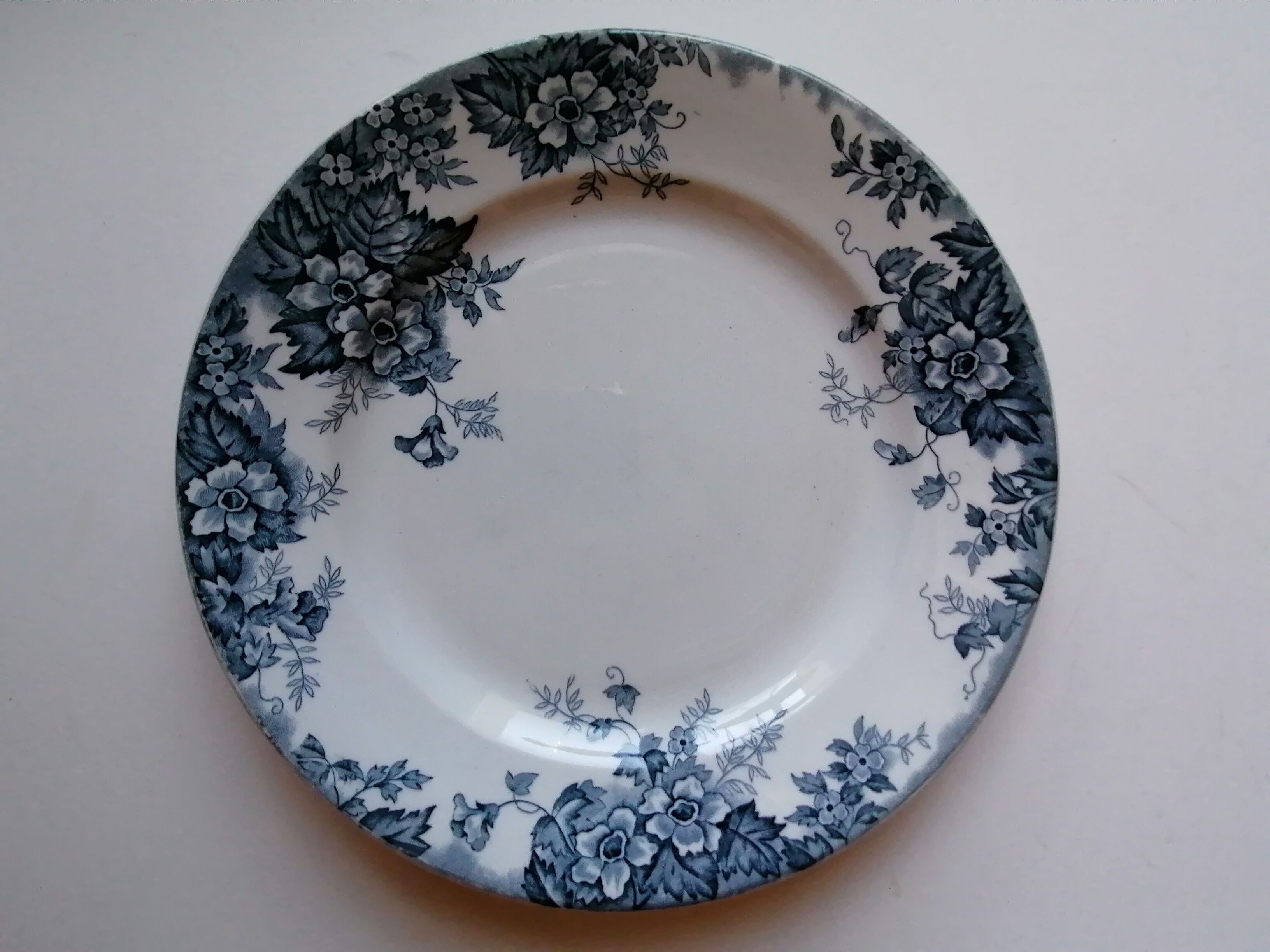 6 flat plates wolf mill blue and white iron earth