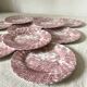English porcelain dessert plates "the hunter" by Myott