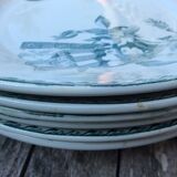 Series 6 tablespoons Plate Iron Earth
