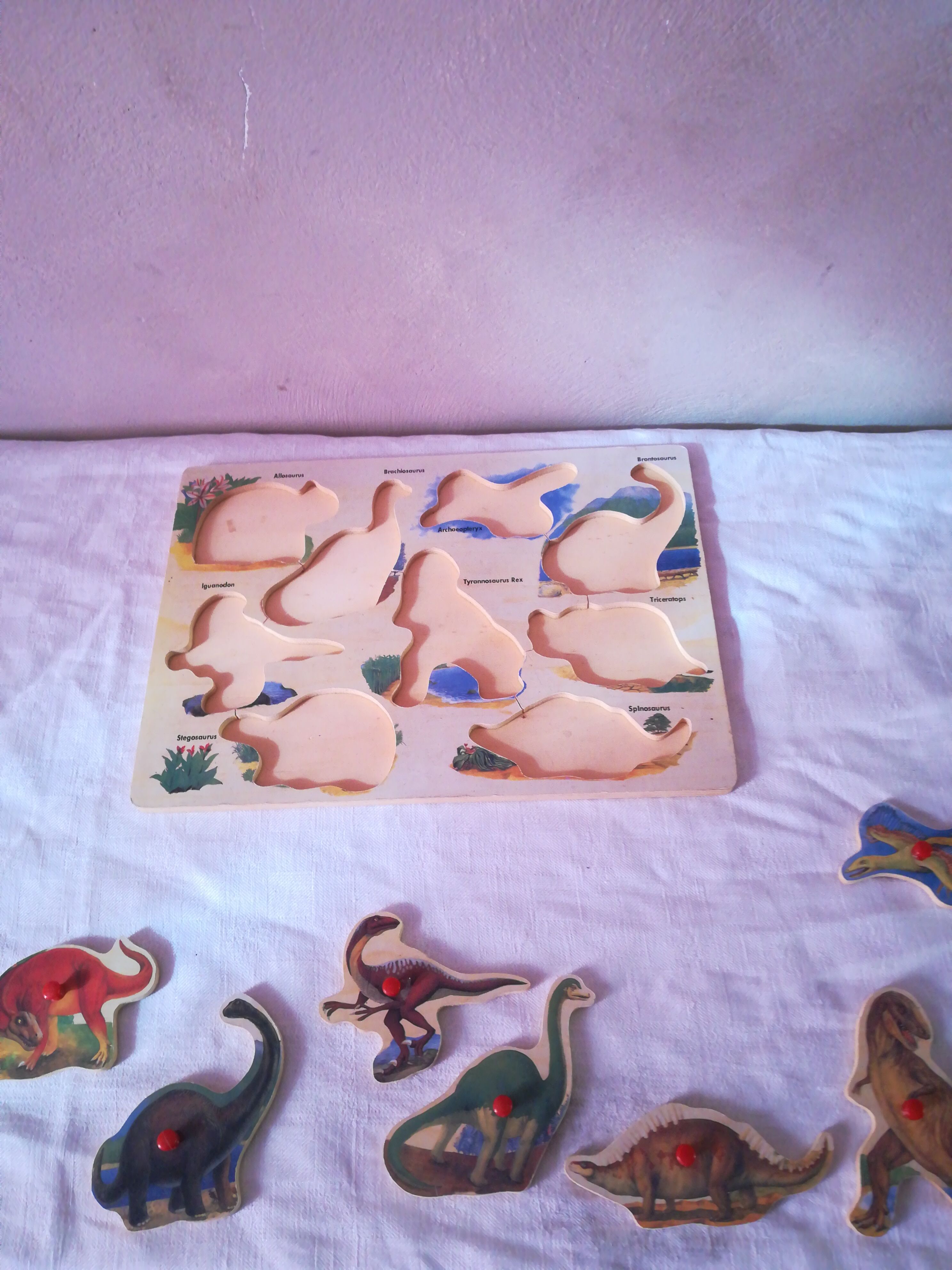 Wooden puzzle -- the dinausares