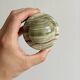 Green veined stone paperweight