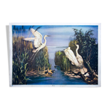 Egret, Educational Grid, by Zerritsch, 1926