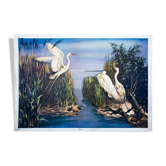 Aigrette, grille éducatif, par Zerritsch, 1926