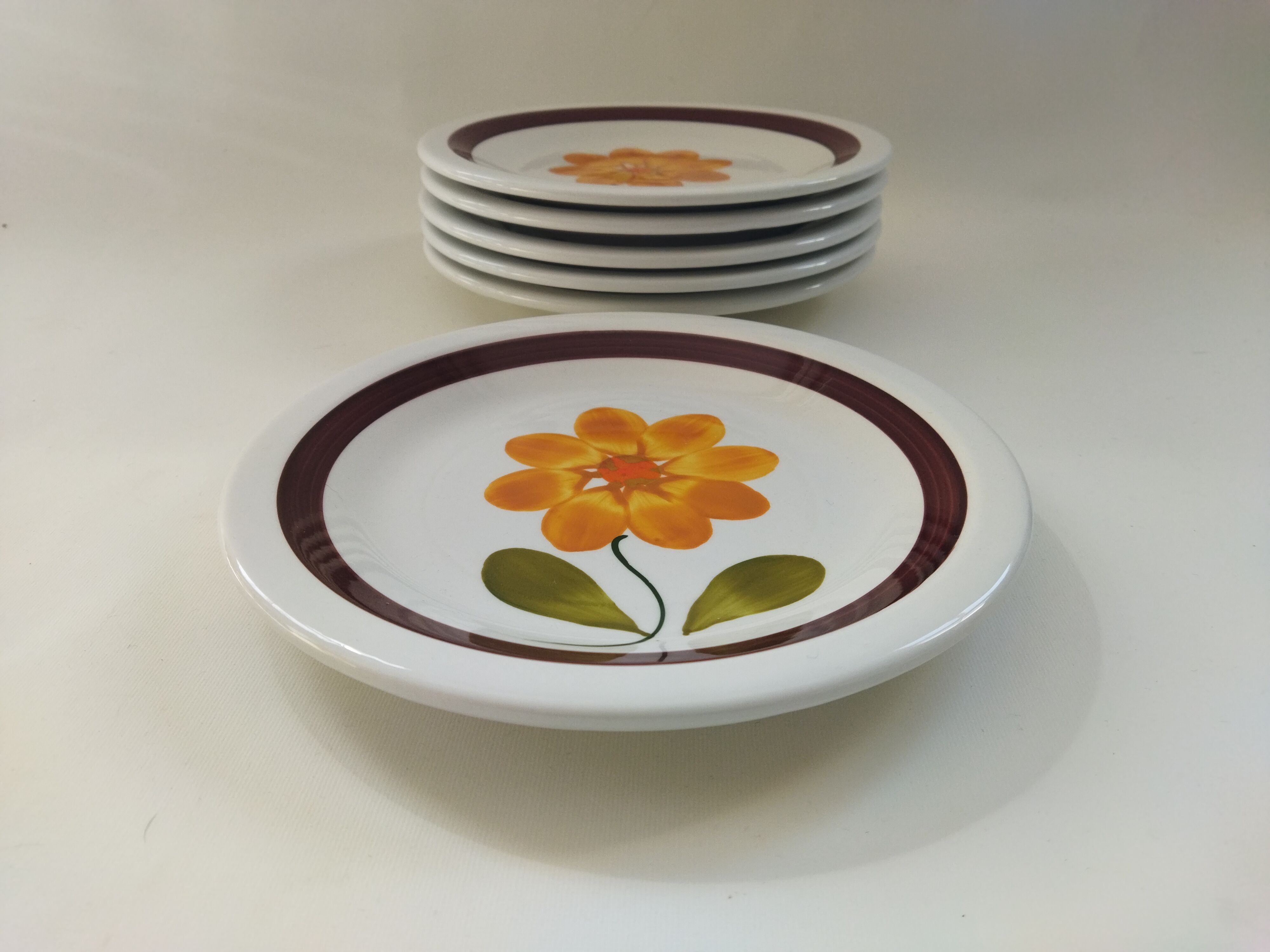 6 plates in vintage Italian earthenware 1970