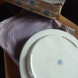 7 plates with fondu villeroy & boch power flower