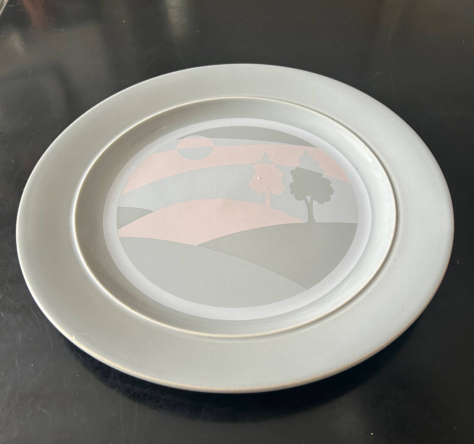 Earthenware dish from Salins les Bains