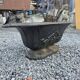 Antique cast iron planter