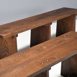 Set of French Artisan Benches in Solid Elm Wood, 1960s