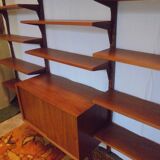 Danish modular library furniture by Poul Cadovius from the 60s