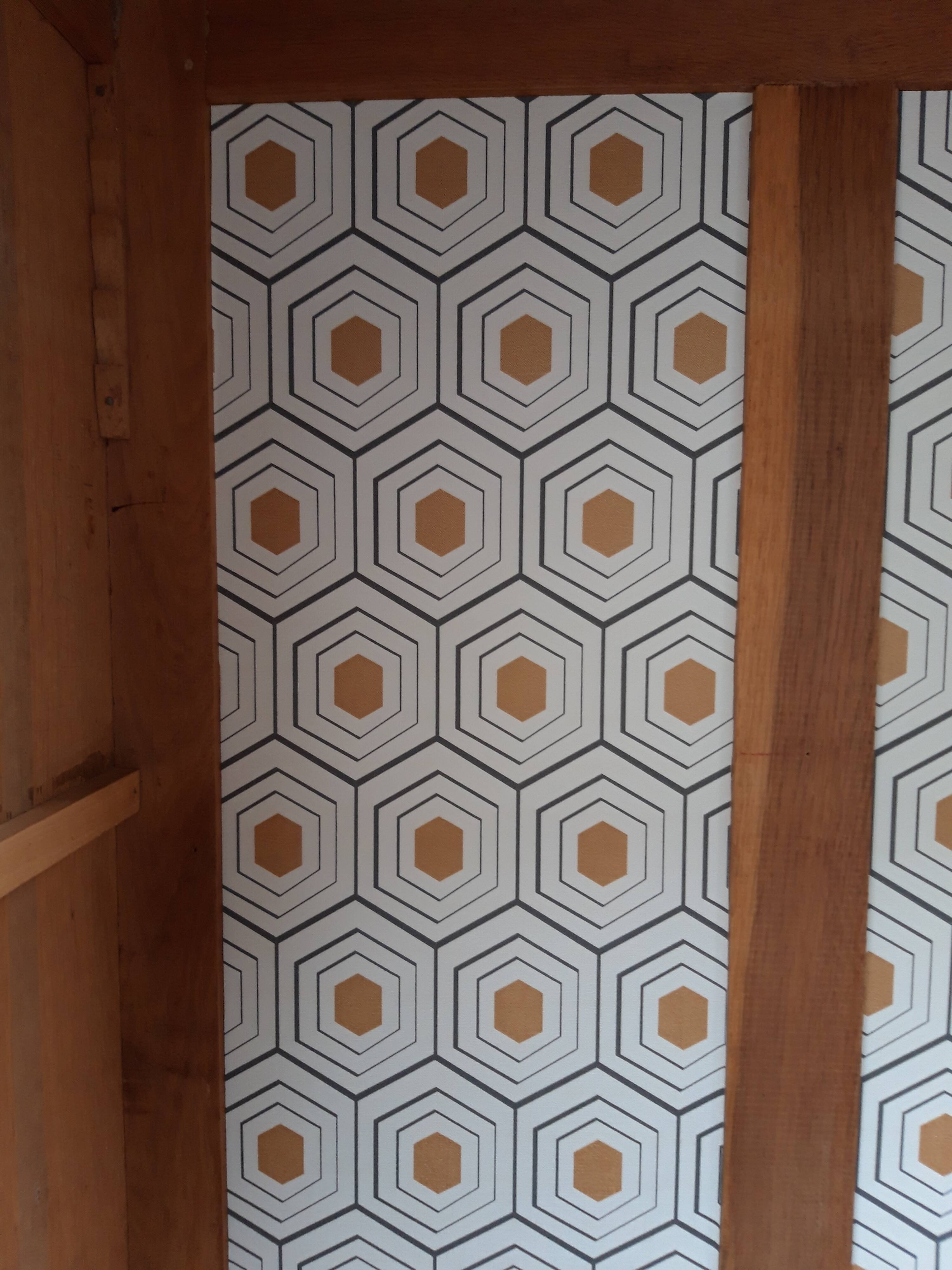 Parisian Art Deco wardrobe