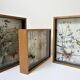 Three wooden frames with naturalized butterflies vintage 60s
