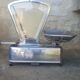 Stainless steel Testut scale