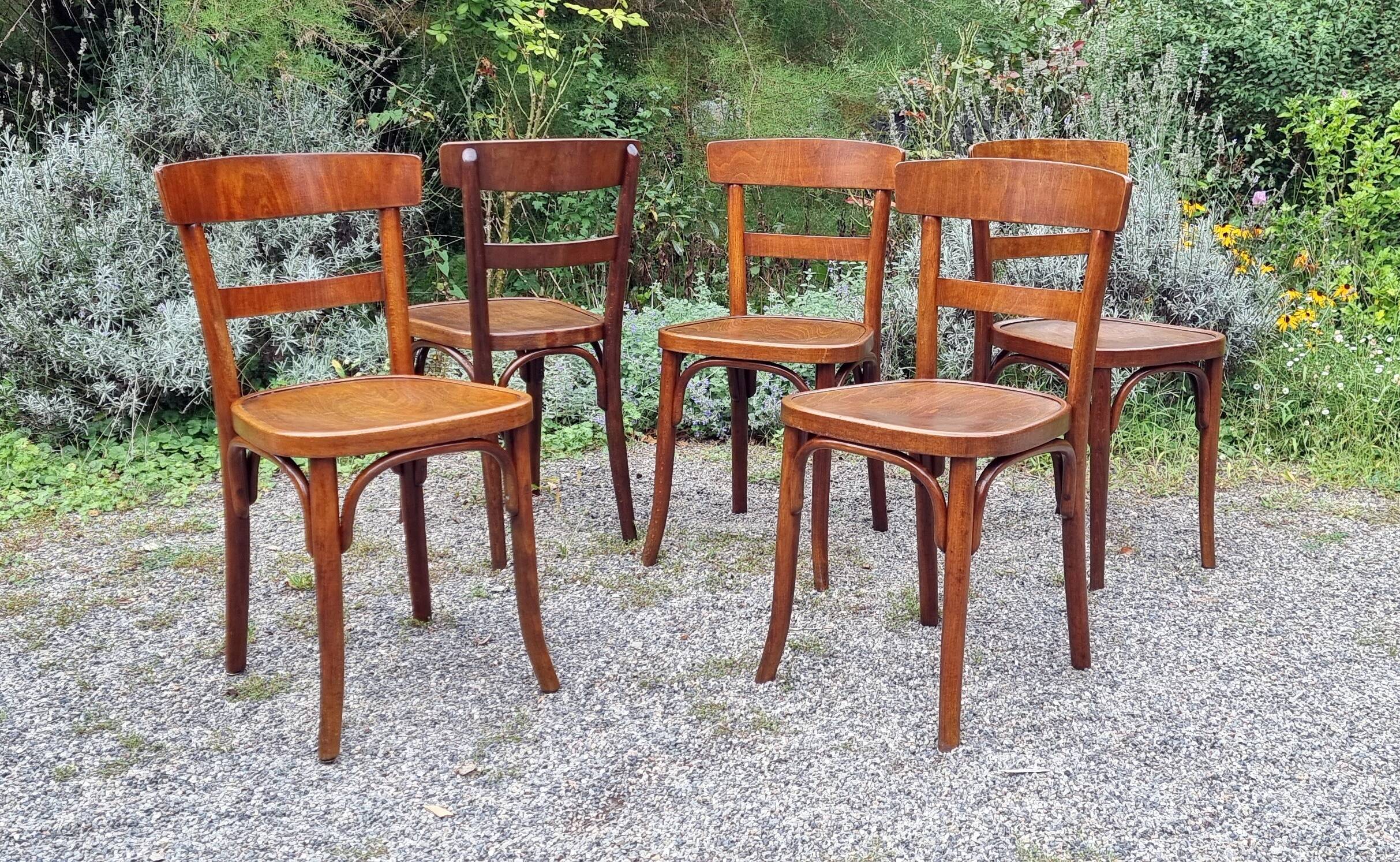 5 chaises bistrot Thonet et Horgen années 40