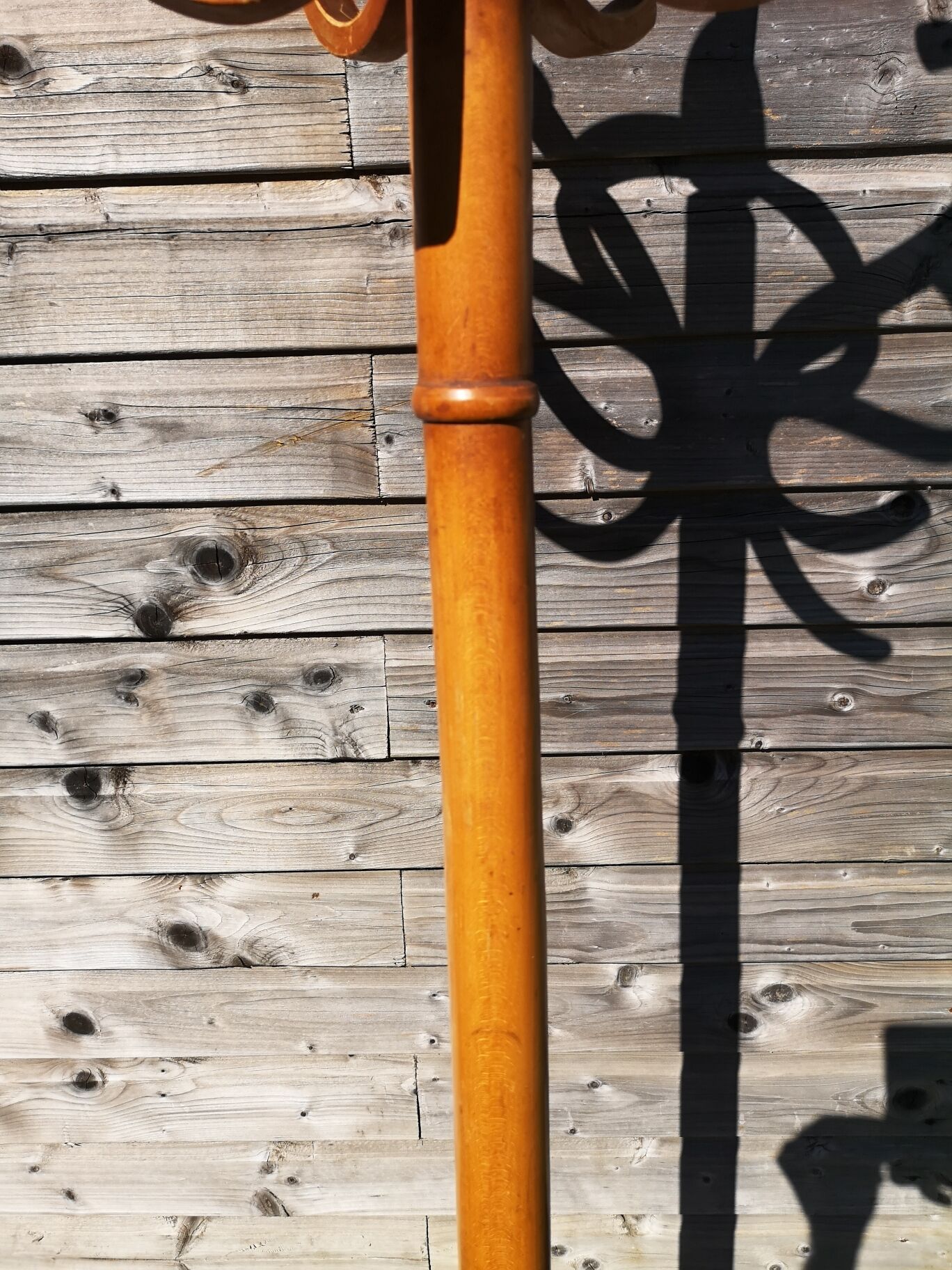 Baumann Parrot coat holder