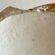 Coquillage mural emaillé par aljezur