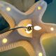 Porcelain wall lamp starfish design