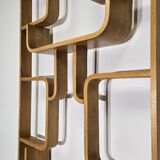 Room Divider by Ludvik Volak for Drevopodnik Holesov, 1950s
