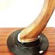 President lamp by Fase – black lacquered edition and Mongoy wood - 1968