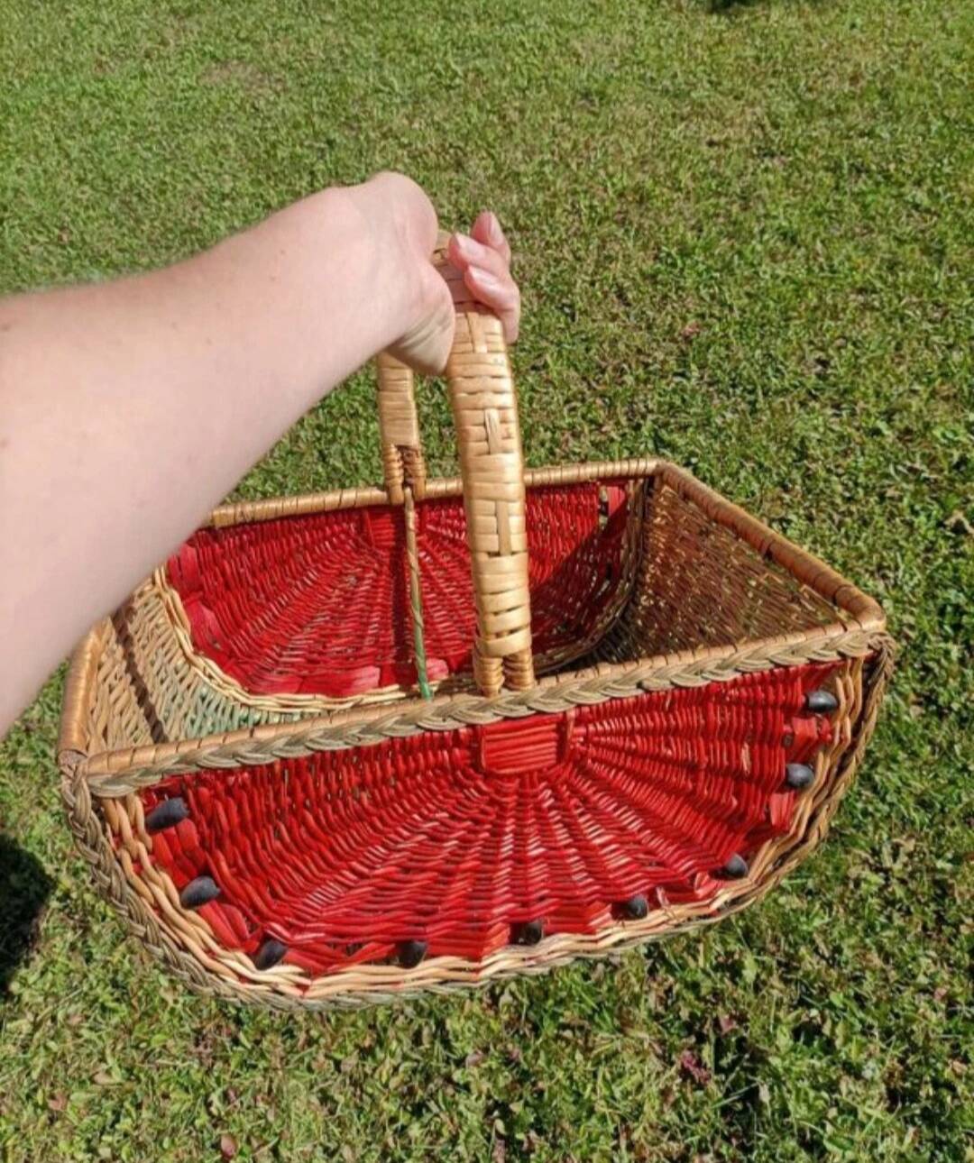 Retro watermelon basket