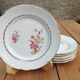8 assiettes plates KG Lunéville