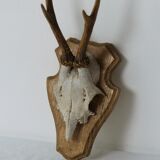 Deer massacre trophy
