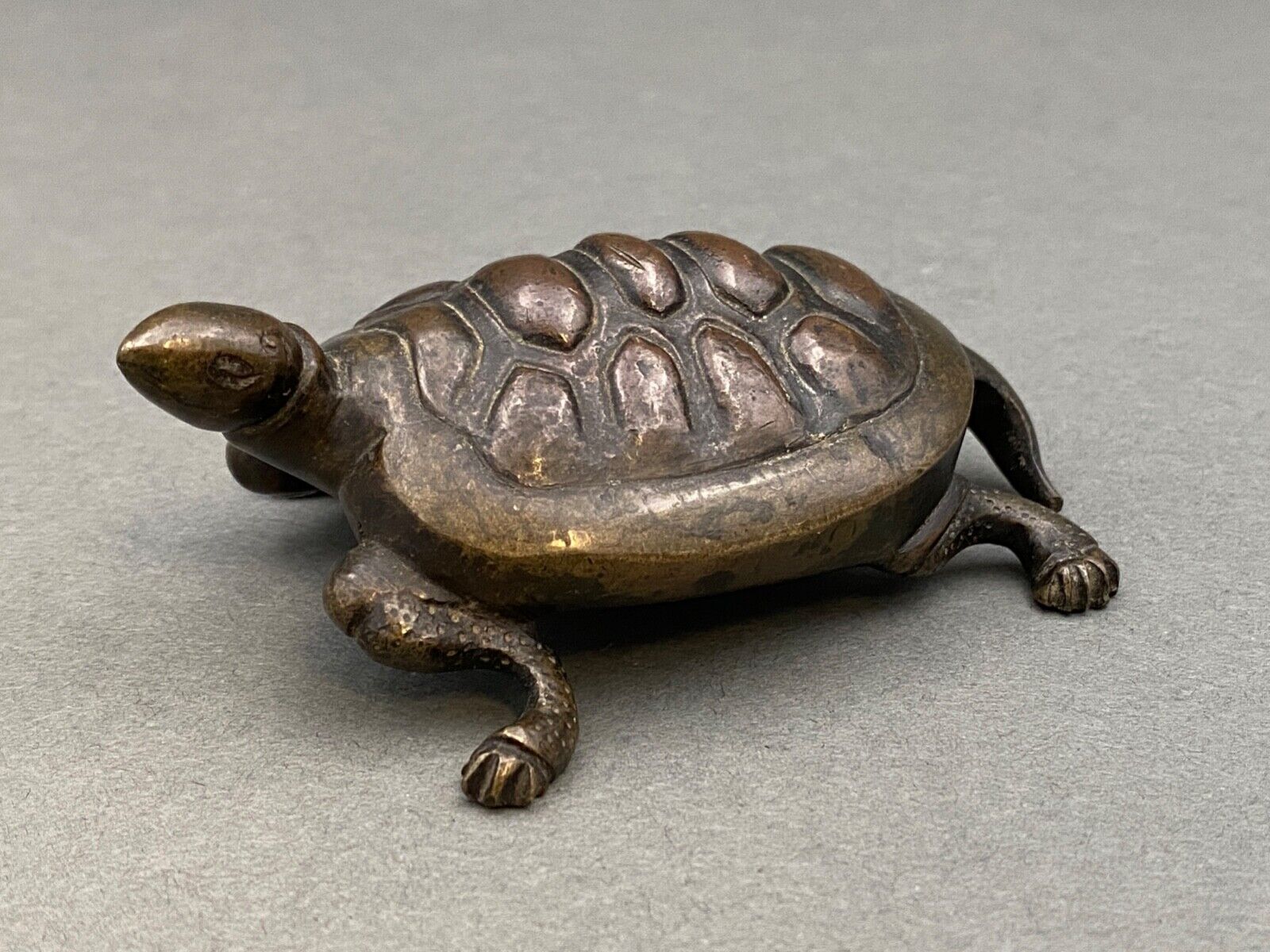 Bronze turtle XIXth Chocolate patina Fine carving
