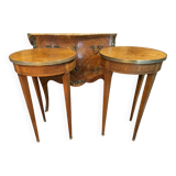 Pair of Louis XVI Directoi style pedestal tables, bouillotte tables