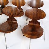 Lot de 6 chaises Ant modèle 3101 fabriquées en palissandre par Arne Jacobsen pour Fritz Hansen des années 1950